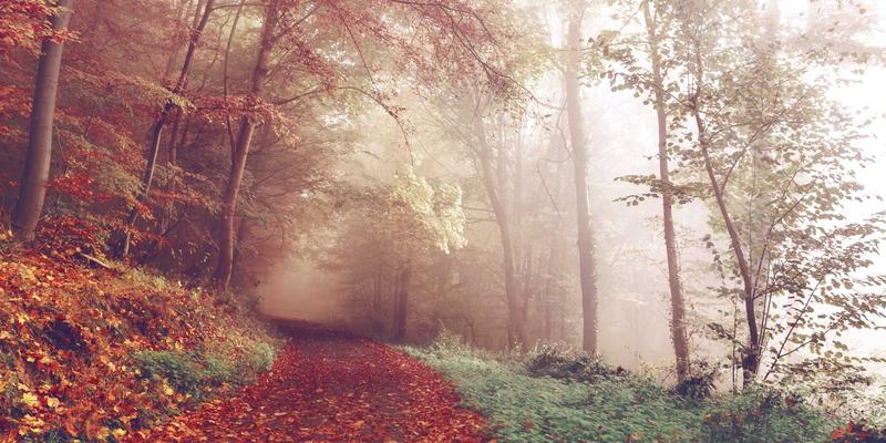 精密制造新引擎：北京三川力产品在数控机床行业的深度集成实践