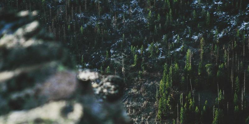 精密加工产线如何防患于未然?深度解析北京三川力伺服电机轴承温升异常处理全攻略