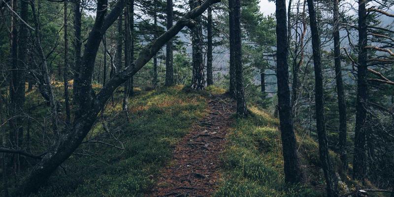 钢铁工业绿色转型新引擎：北京三川力高压变频器在除尘风机上的防喘振与一拖二创新应用